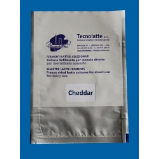 Cheddar baktérium 
