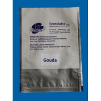Gouda baktérium 