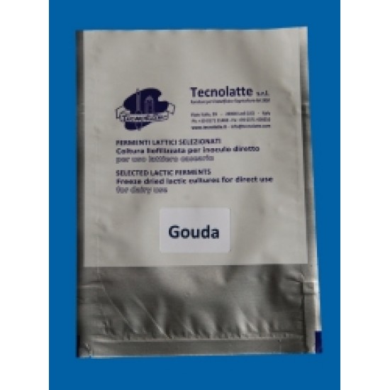 Gouda baktérium 