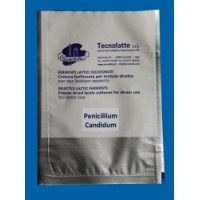 Penicilium candidum