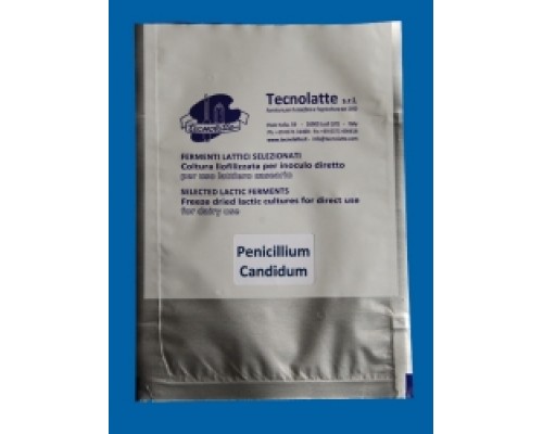 Penicilium candidum