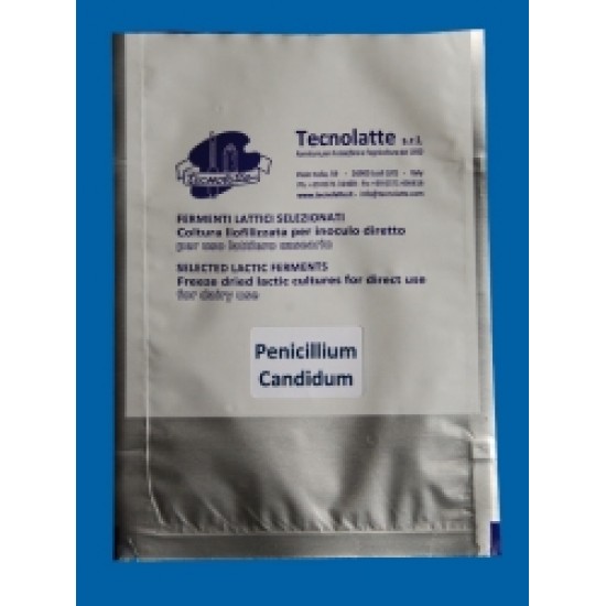 Penicilium candidum